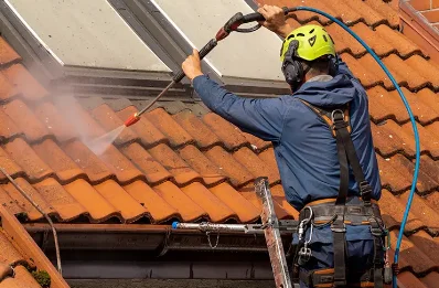 Démoussage et hydrofuge de toiture au Cambout